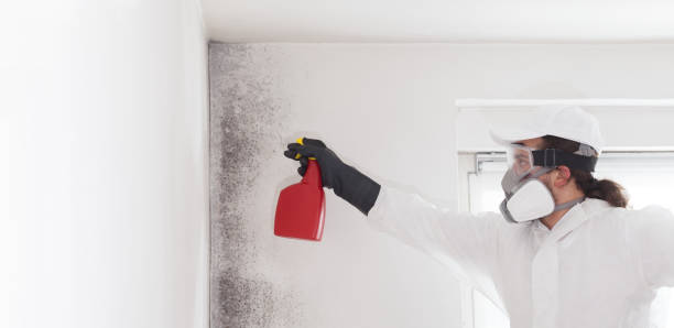 Best Residential Mold Remediation in Defuniak Springs, FL