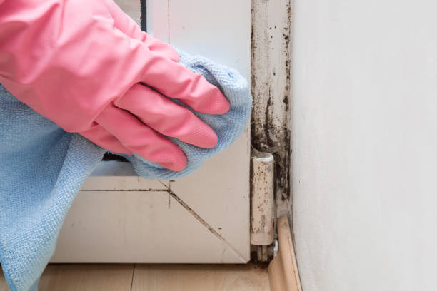 Best Industrial Mold Remediation in Defuniak Springs, FL