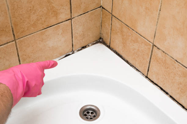 Best Residential Mold Remediation in Defuniak Springs, FL